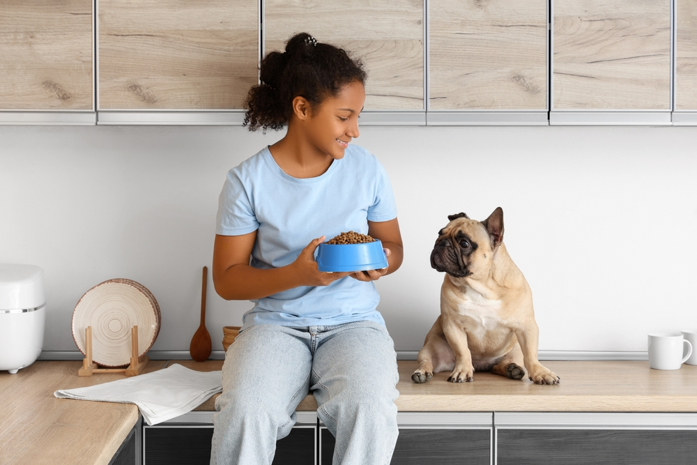 Read more about the article Dog Nutrition Basics: What Every Owner Should Understand