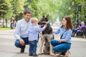 Read more about the article 🐾 Raising a Confident Family Dog in a Busy Household