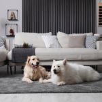 🏡 Dog-Friendly Home Ideas: Stylish, Practical Ways to Design a Home for You and Your Dog