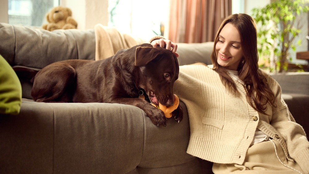 Read more about the article 🐾 How to Create a Dog-Friendly Home Without Sacrificing Style