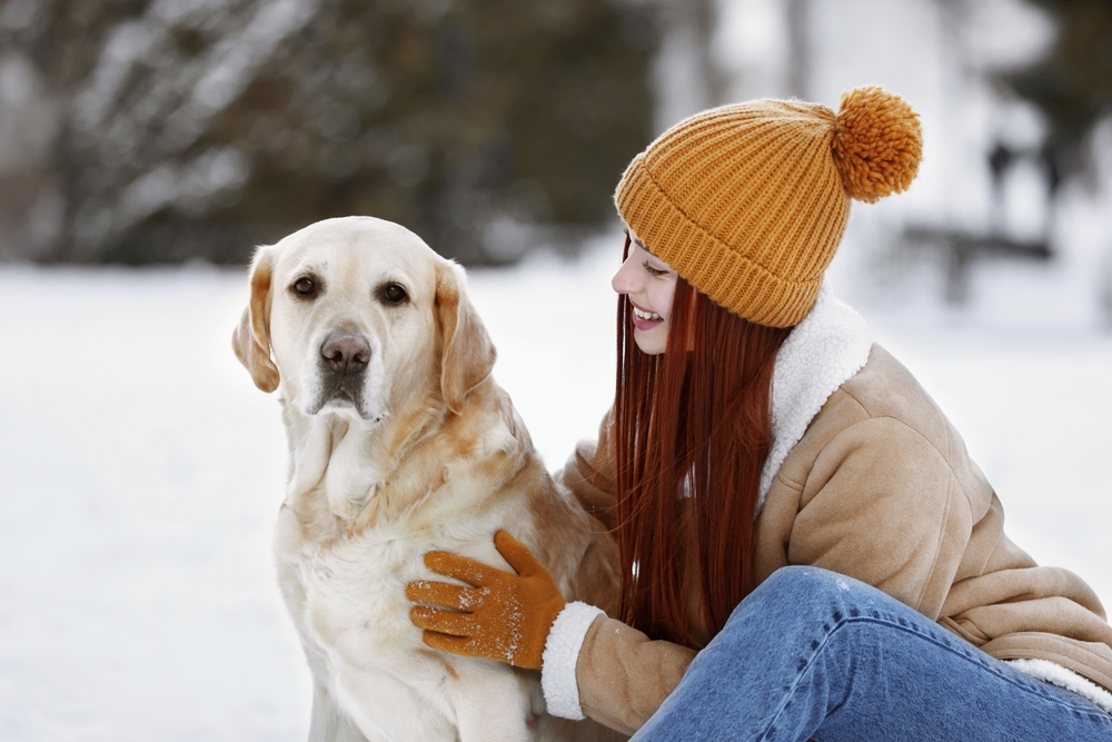 You are currently viewing How Dogs Improve Mental Health (Backed by Science)