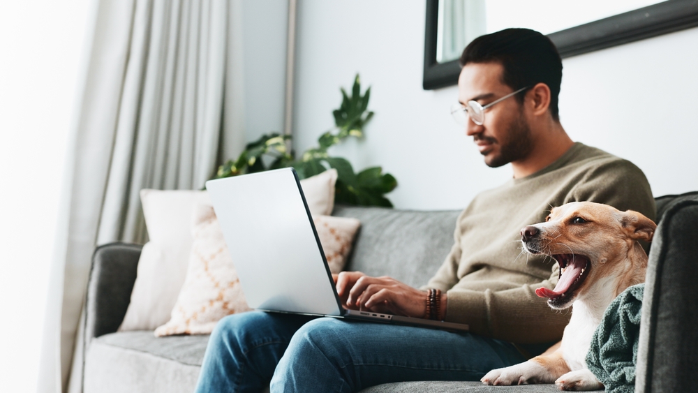 Read more about the article How Modern Lifestyles Are Changing Dog Ownership